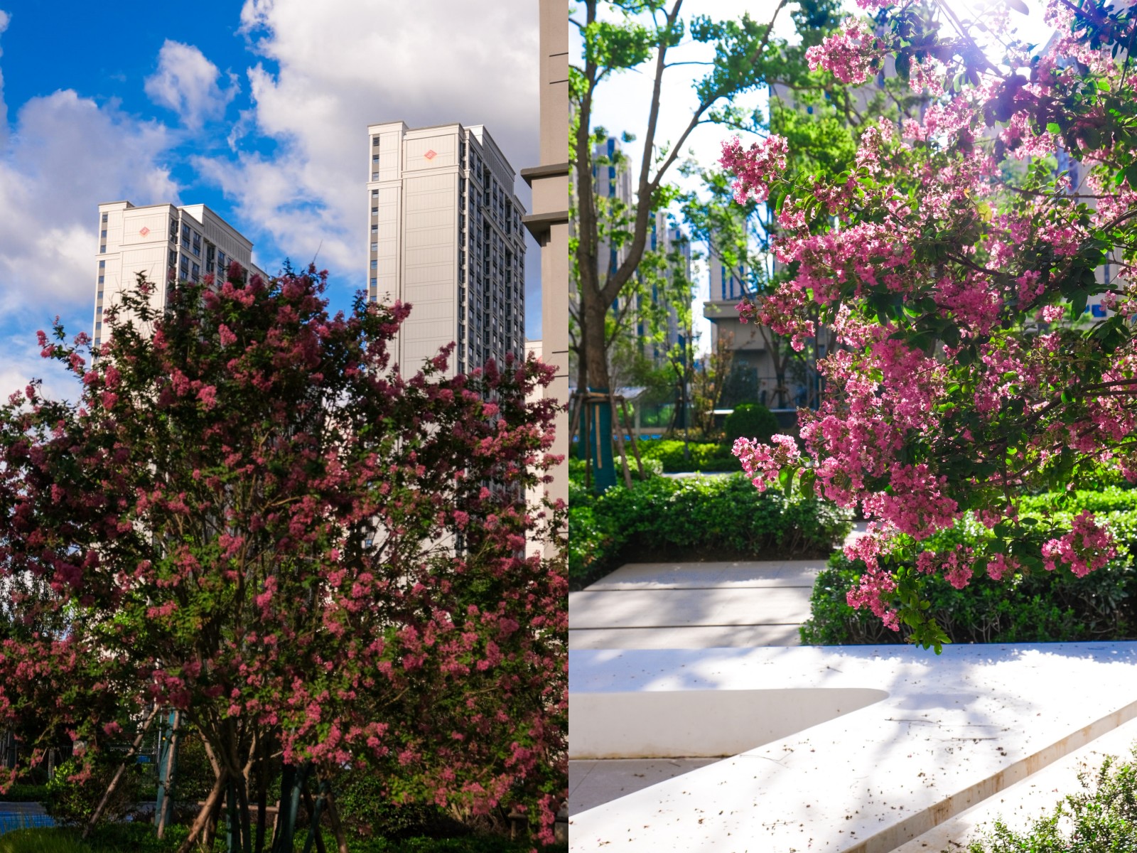 台风过境，，这一大波民生项目be like（图说包管房）